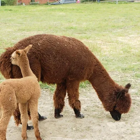 Familienapartment Apartmán Neubukow