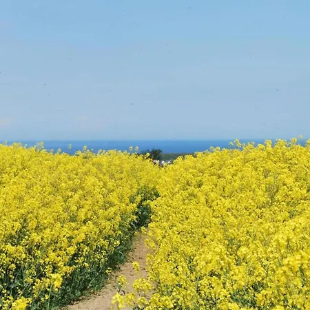 Apartmán Familienapartment