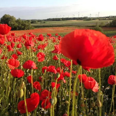 Apartmán Familienapartment Neubukow