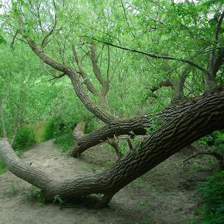 Familienapartment Neubukow