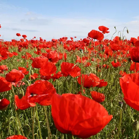 Apartmán Familienapartment