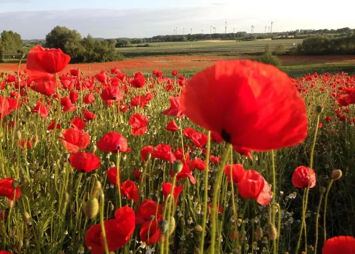 Διαμέρισμα Familienapartment Neubukow