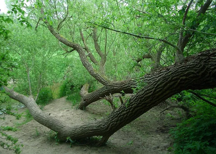 Familienapartment Neubukow