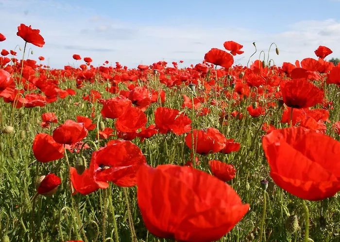 Διαμέρισμα Familienapartment